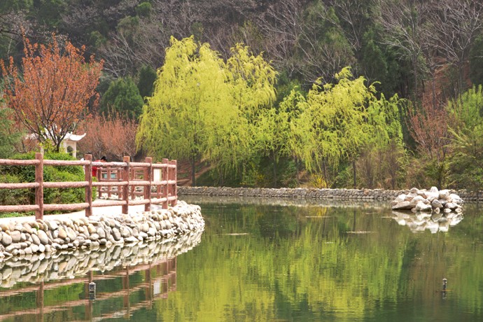 Lishan National Forest Park -spring Lishan National Forest Park -spring